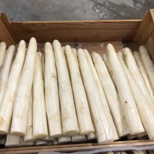 Asperge Blanche Cat 1 Calibre 22/32 (5Kg)