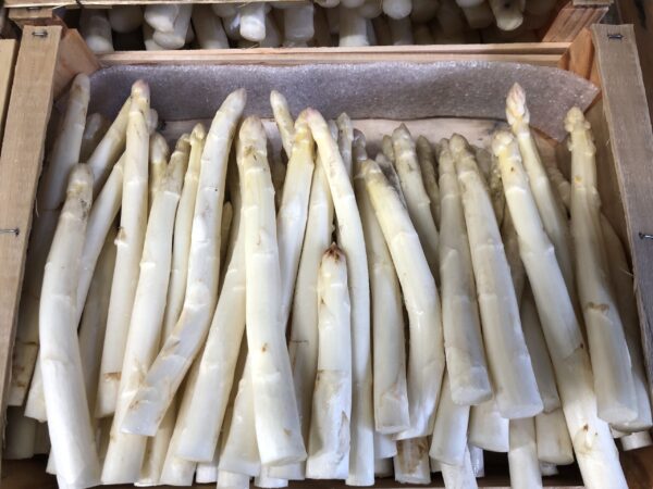 Asperge Blanche Cat 2 Calibre 16/22 (5Kg)