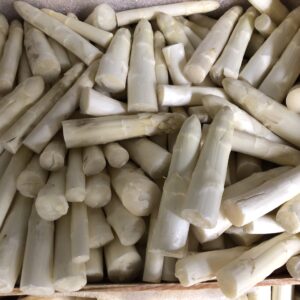 Asperge Blanche Cat 1 Pointe (1Kg)