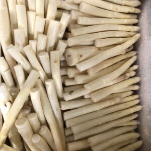 Asperge Blanche Cat 1 Pour conserve (5Kg)