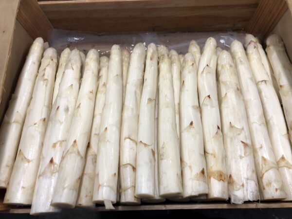 Asperge Blanche Cat 2 Calibre 22/32 (5Kg)