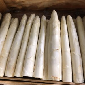 Asperge Blanche Cat 1 Calibre 32/+ (5kg)